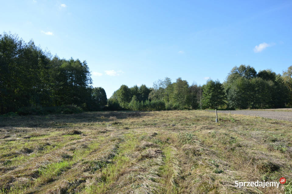 Duża działka Baranówka 21 a sprzedam