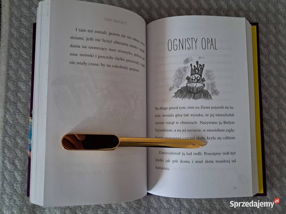 Książka Odkurzacz czarownicy T Pratchett do