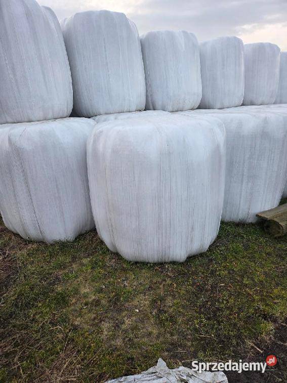 Sianokiszonka 1 i 2 pokos Szczekociny sprzedam