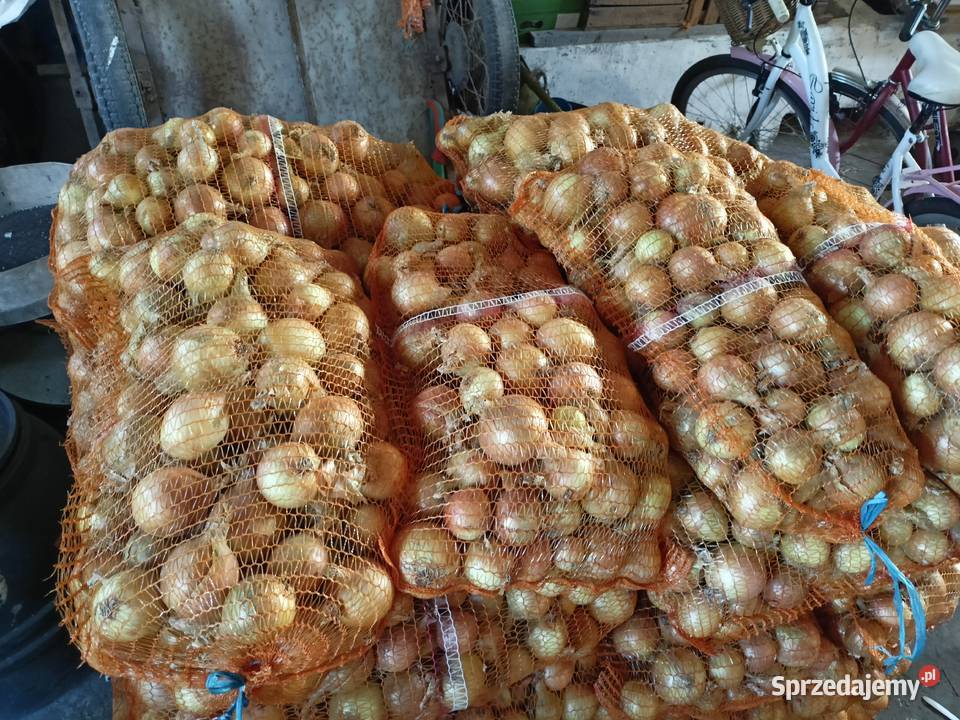 Sprzedam cebule