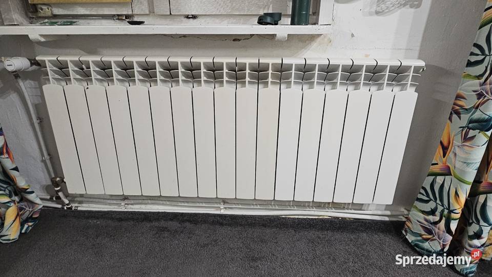 Grzejnik Wodzisław