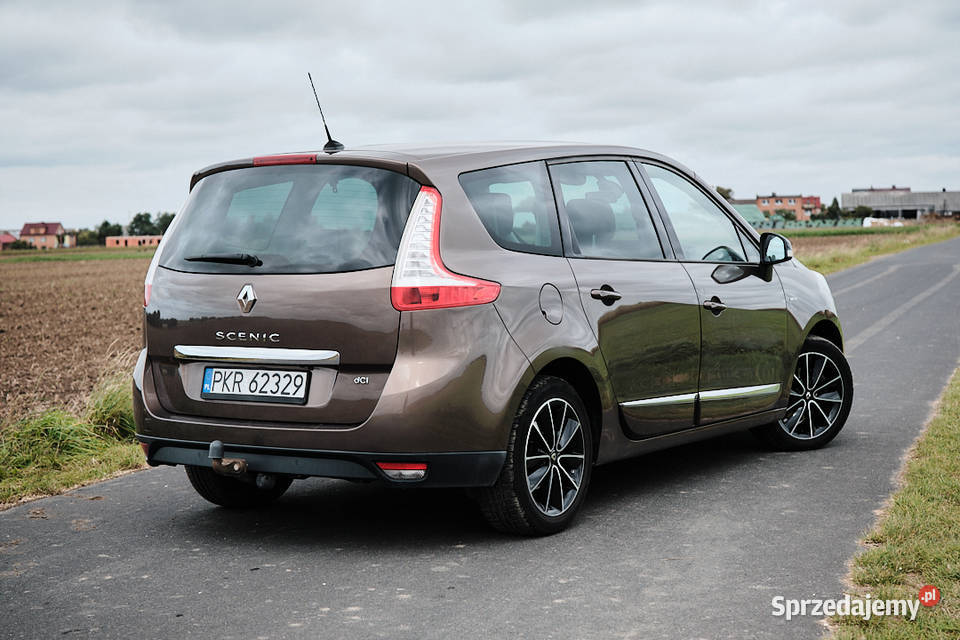 Renault Scenic III 16 DCi BOSE Renault Krotoszyn