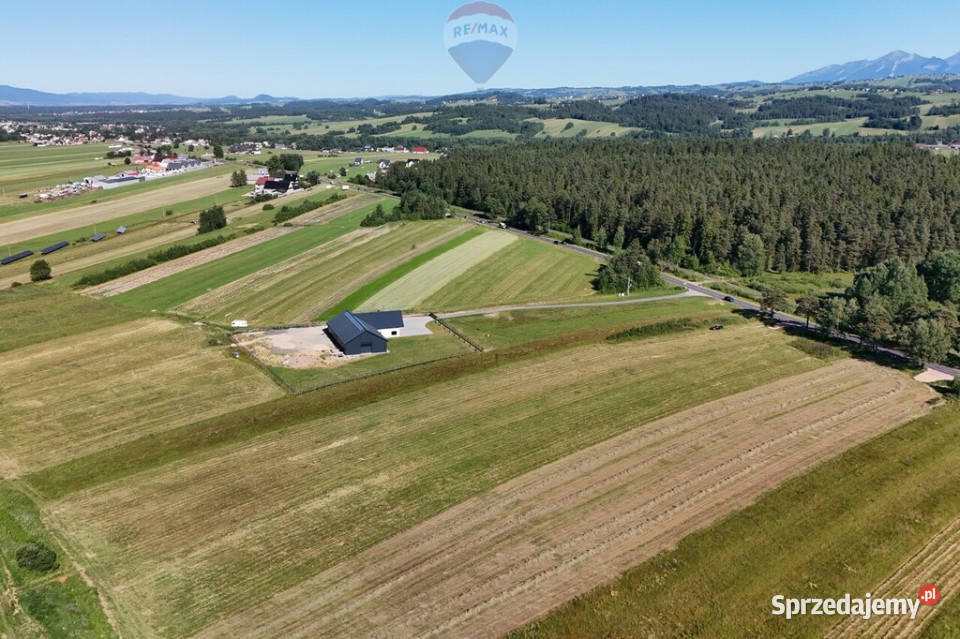 Dzierżawa działki 15 ha w Wróblówce Wróblówka sprzedam