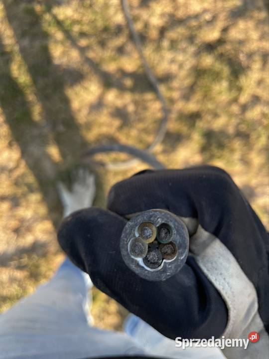 Skrzynka Rozdzielnica Budowlana 8m kabel