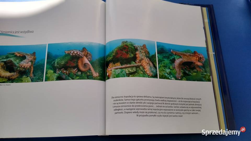 Planeta mórz Laurent Ballesta i Pierre Descamp pomorskie Gdańsk sprzedam