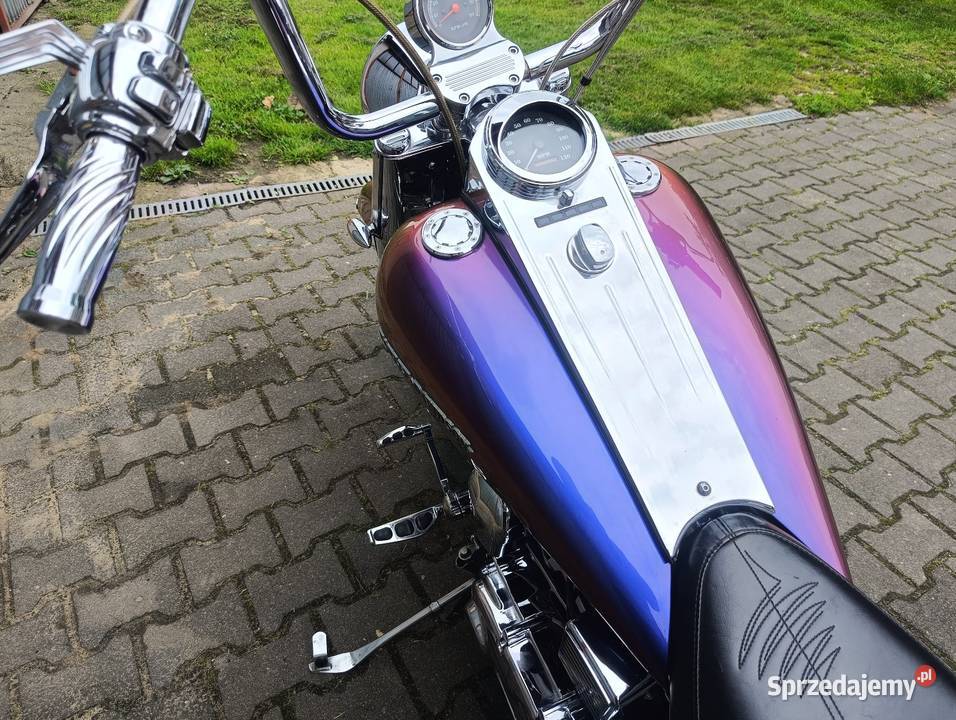 HarleyDavidson Softail Custom EVO 1340 Motocykle, skutery, quady wielkopolskie Gostyń