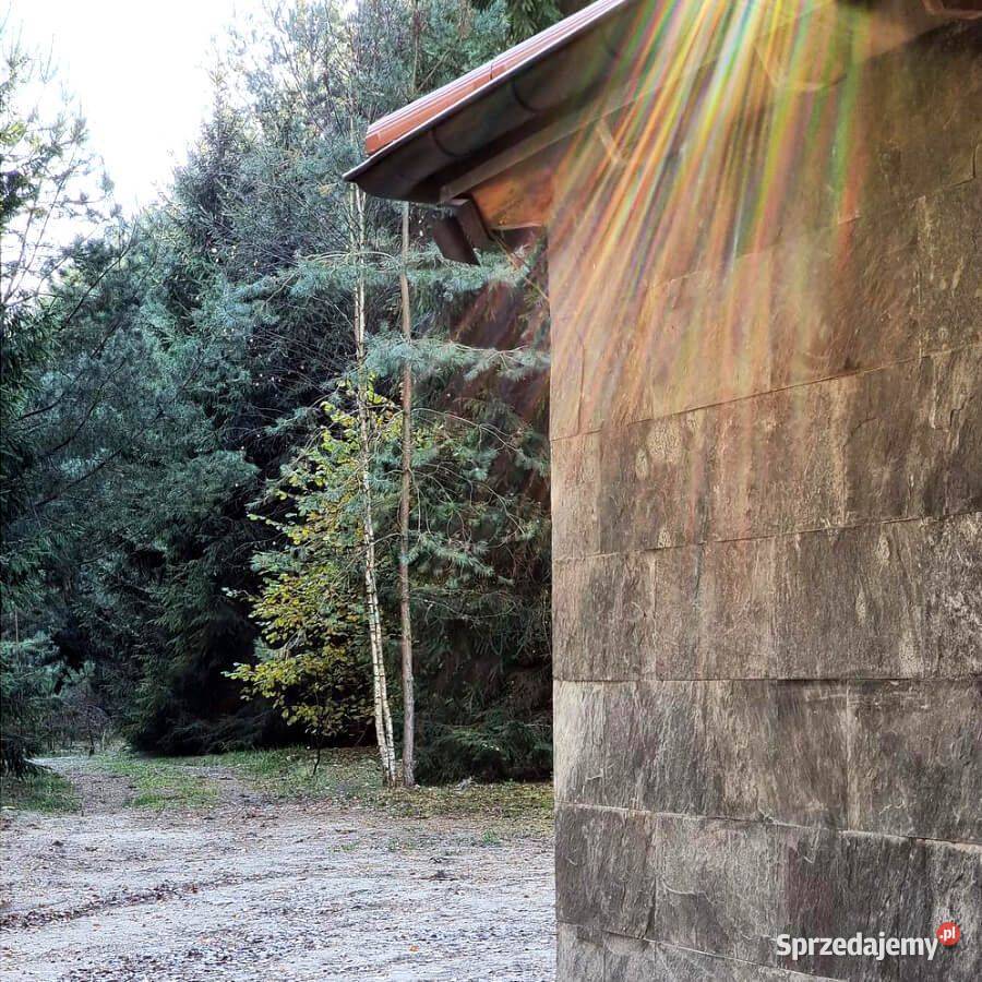 Płytki kwarcyt Silver Grey naturalny 60x30x12 Wejherowo