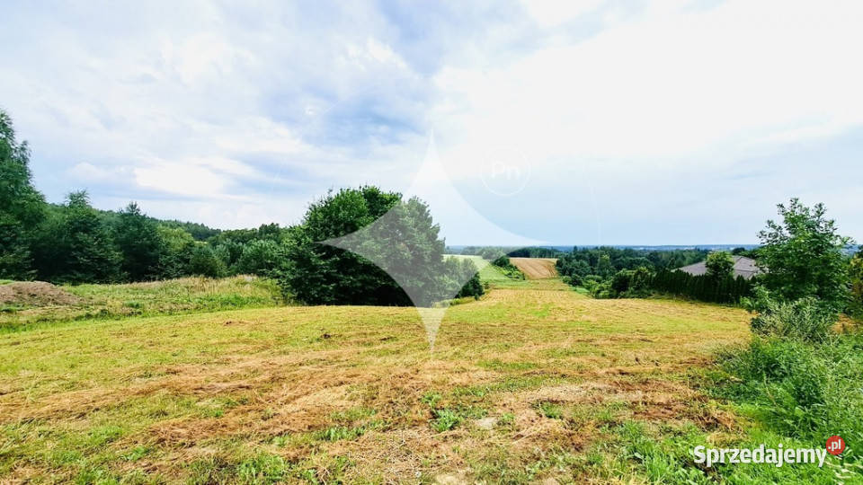 Sabaudia działka w zielonej okolicy