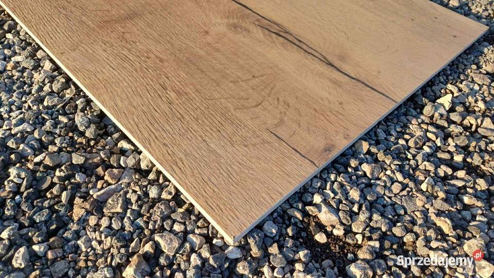 M Gres drewnopodobny FOREST 60X120 Gl Lesznowola