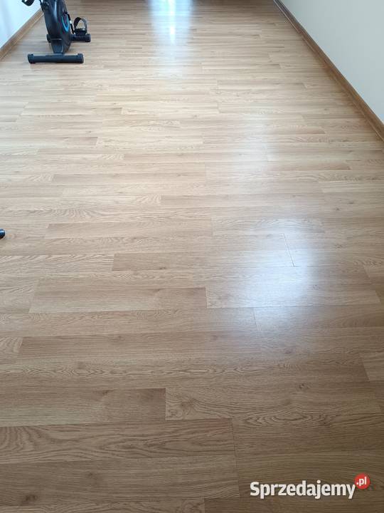 Panele podłogowe małopolskie Ostrowsko