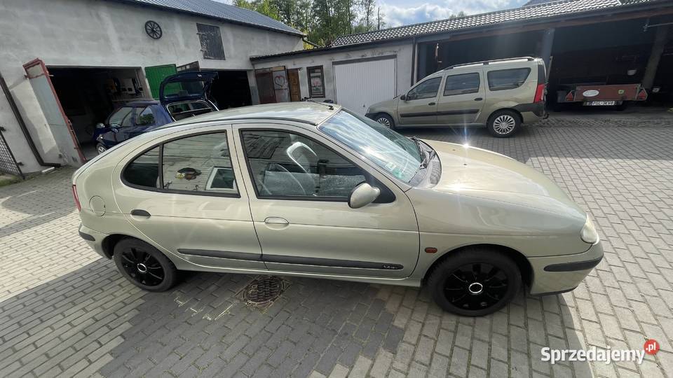 Renault Megane wielkopolskie Szetlewek