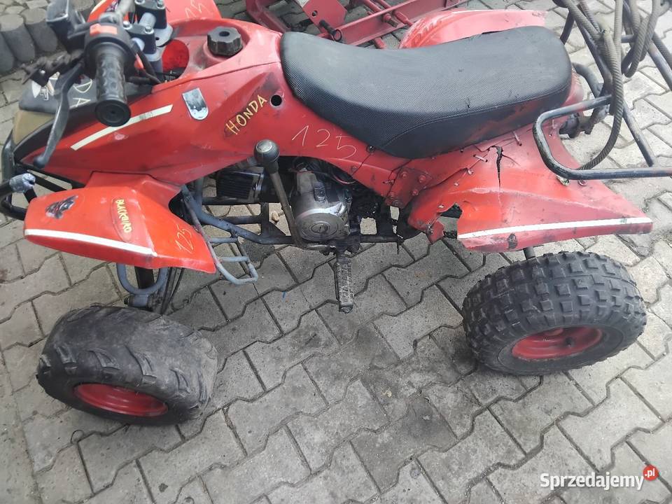 3 quady 125 i 110