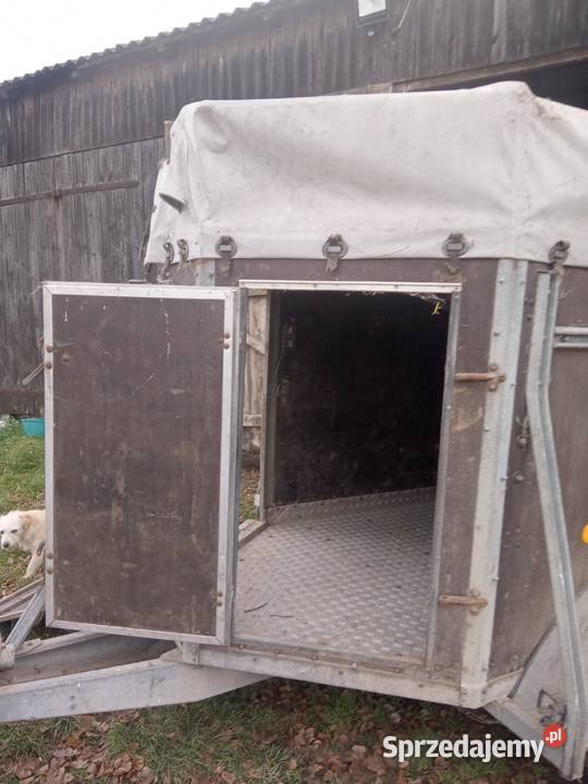 Przyczepka samochodowa Puńsk