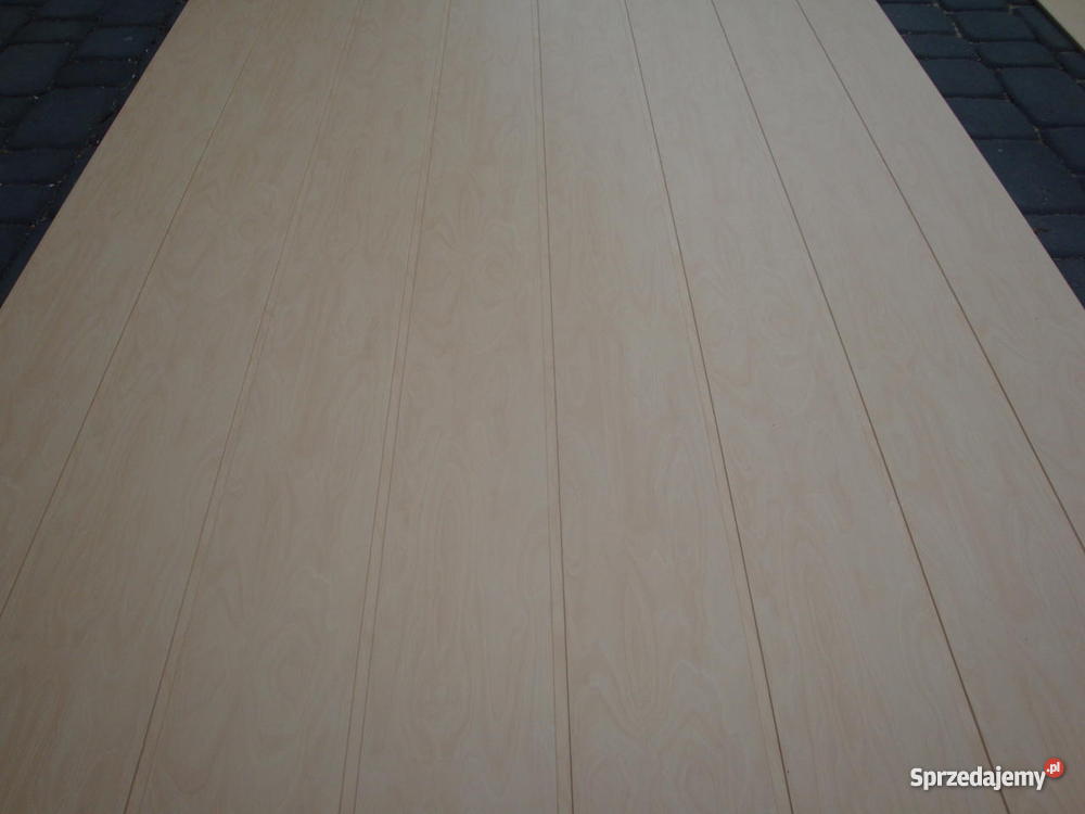 BOAZERIA PANELOWABRZOZA FIŃSKA Radomsko