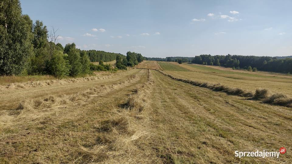 Siano w kostkach Karmy i pasze Woźniki