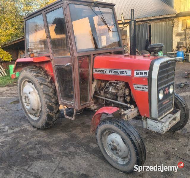 Massey Ferguson 255 Kałuszyn