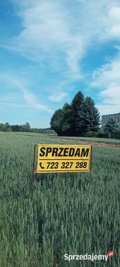 Gospodarstwo rolne działka 2ha Kowalin