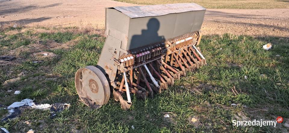 Siewnik Poznaniak Książ Wielki