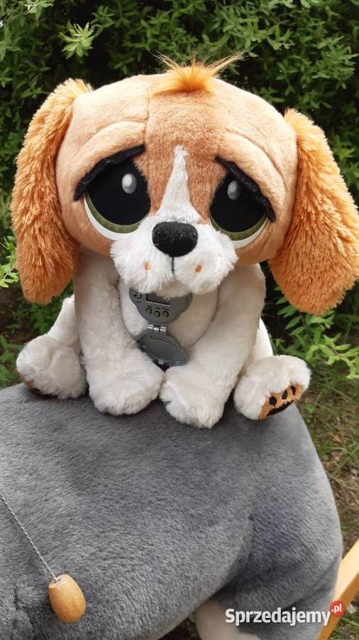 ŚWIETNIE Zabawki Końskie