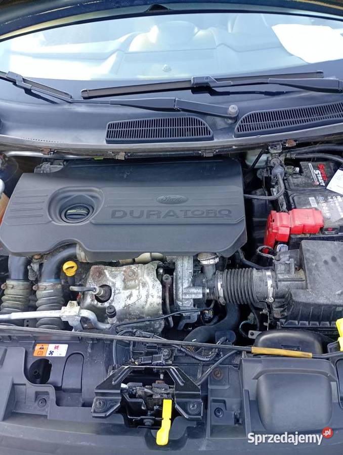 Ford fiesta 2015r Lift 190 przebiegu ładna Fiesta Łuków