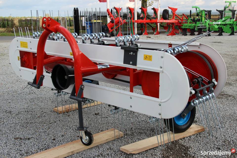 Przetrząsacz pasowy pająk pasówka Rogóźno