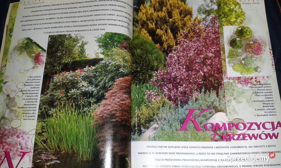 Działkowiec specjalny 12342004 Chełm