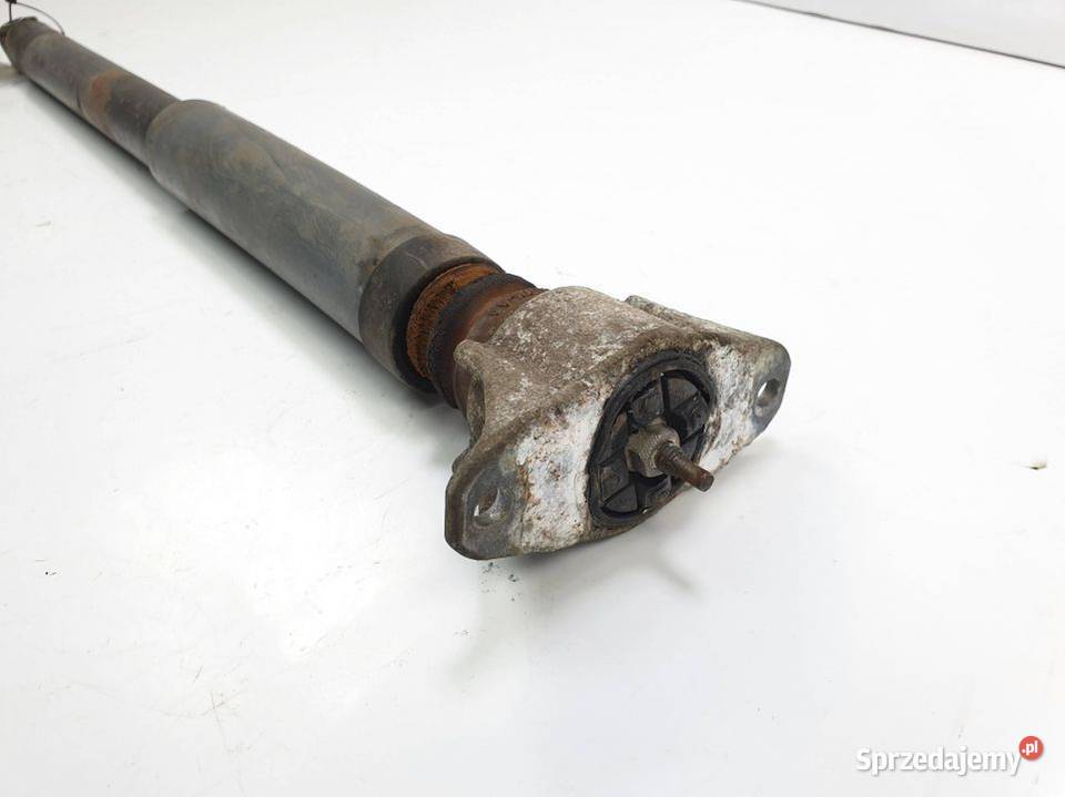 AMORTYZATOR PRAWY TYŁ FORD C Pozostałe Lipno