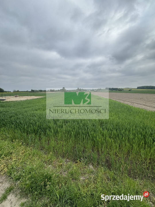 DO SPRZEDAŻY DZIAŁKA W WIERZAWICACH