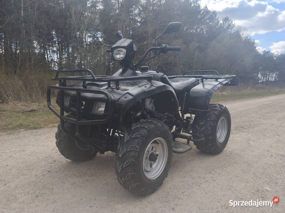 Quad 250 Zajerejestrowany Dobryń-Kolonia