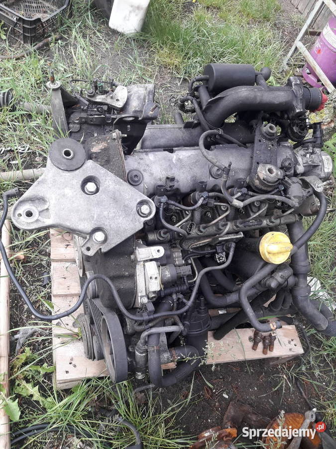 Silnik renault volvo 19 dci f9k mazowieckie Mordy sprzedam