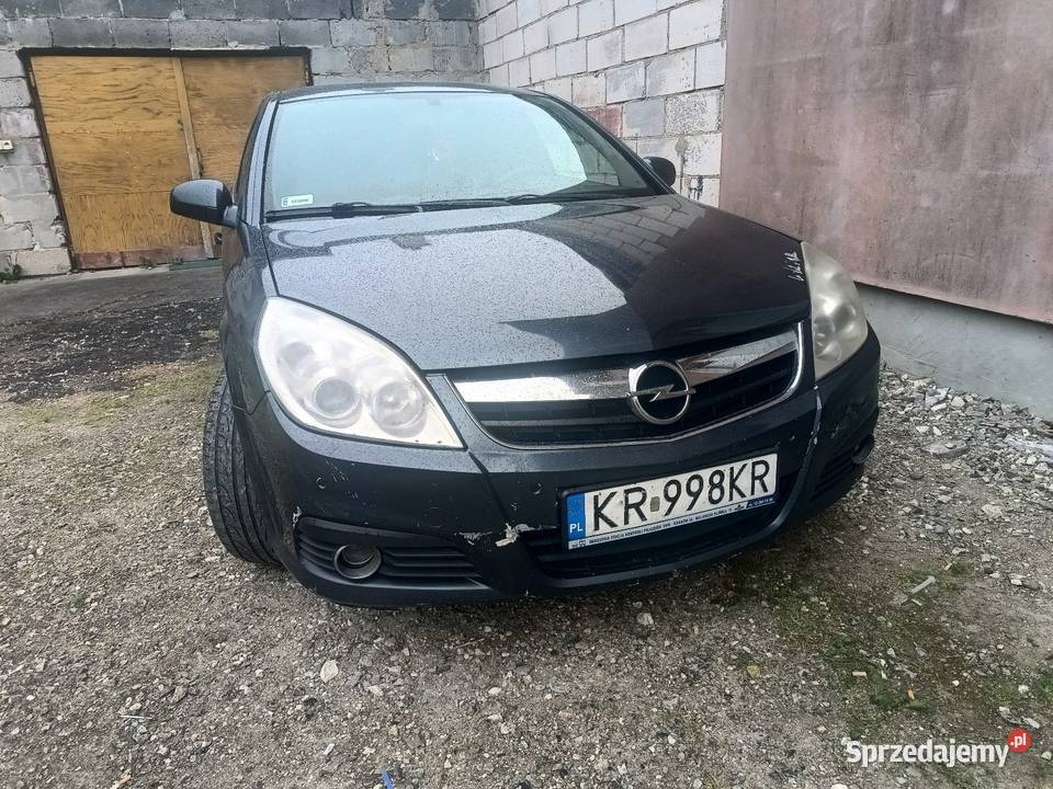 Opel Signum 19CDTI podkarpackie Dębica