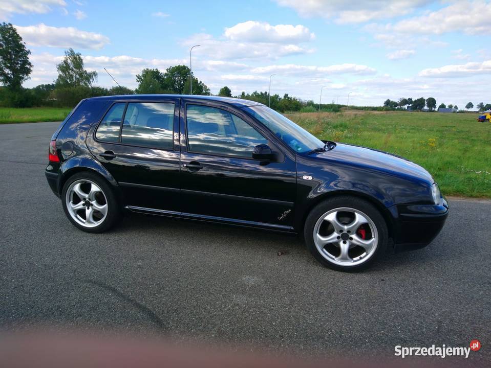 Volkswagen Golf 19 TDI 130 Przasnysz
