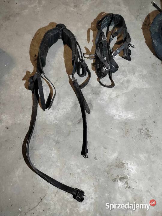 Szory do koni wielkopolskie Turek