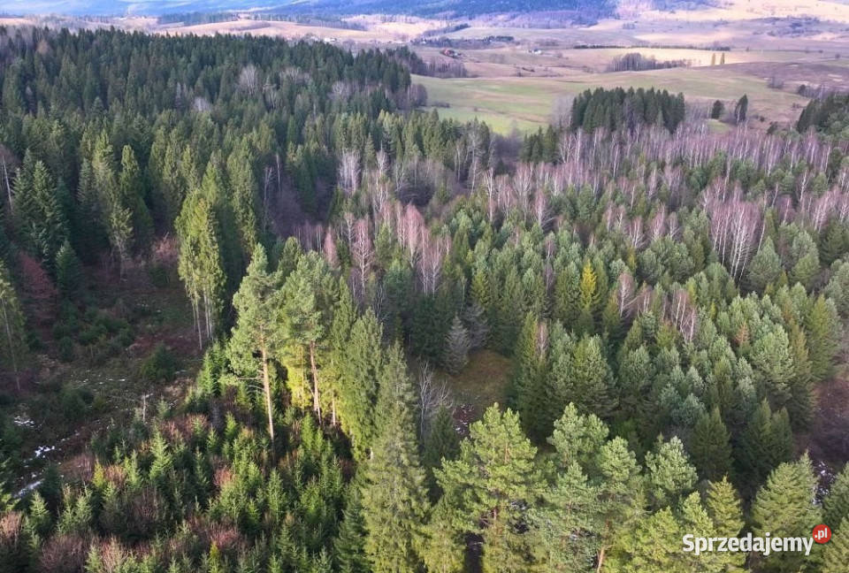 Działka Czarna 11400m2