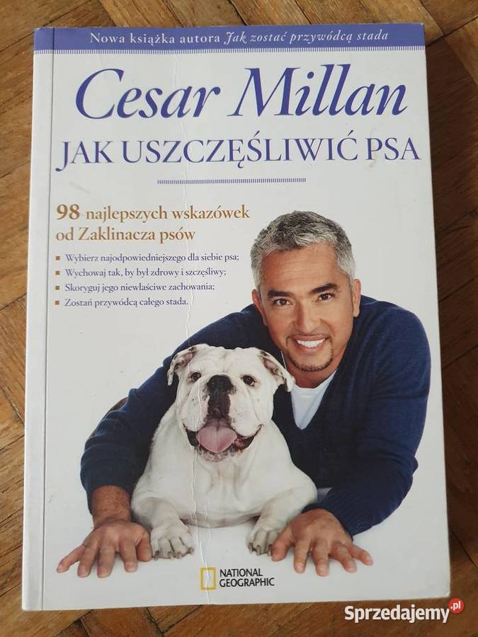 SUPER STAN Cesar MillanZaklinacz psów dolnośląskie Wrocław