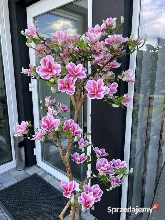 Sztuczne drzewko magnolii 180 Dekoracje i ozdoby Golkowice
