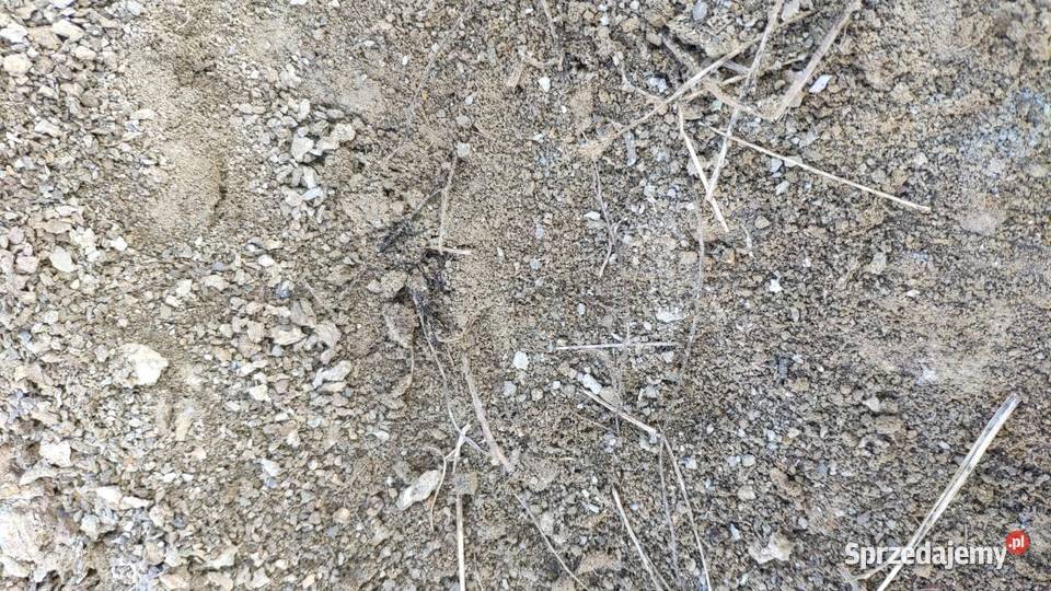 Ziemia na podniesienie terenu ŁAŃCUT I Łańcut sprzedam