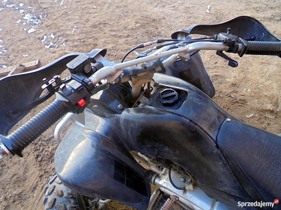 Quad 150 Automat Karniewo