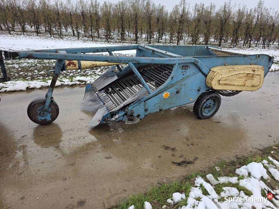 Kopaczka elewatorowa dwurzedowa do ziemniakow Samborzec