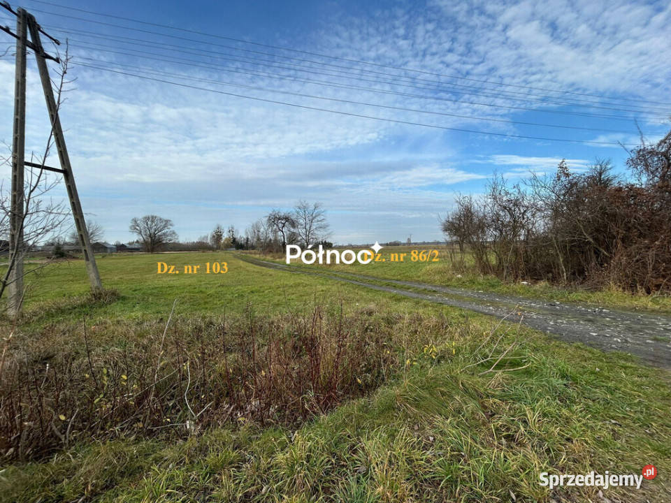 Działka pod zabudowę w Żukach gm Tuczna 4591m2 25m Sprzedaż Żuki