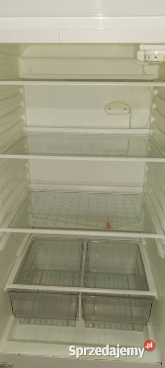 Lodówka zamrażarka Whirlpool Augustów