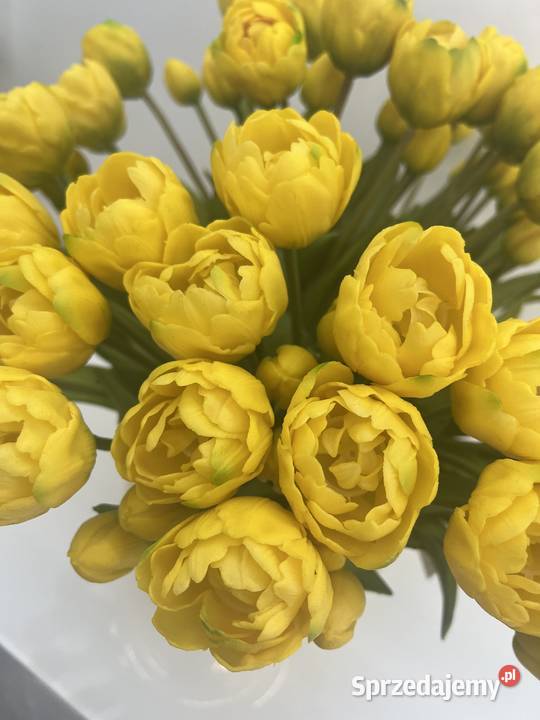 Bukiet tulipanów gumowych 7 sztuk Premium kolor Golkowice