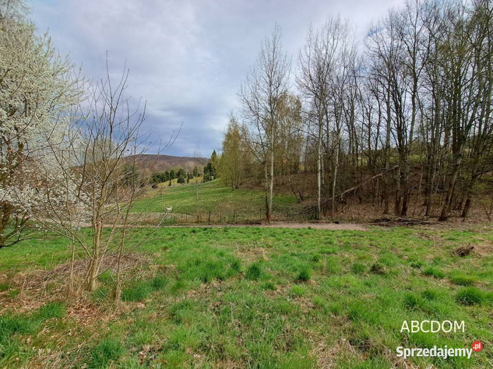Nielepicedzialka budowlana w otoczeniu zieleni 1300m2 Sprzedaż Nielepice