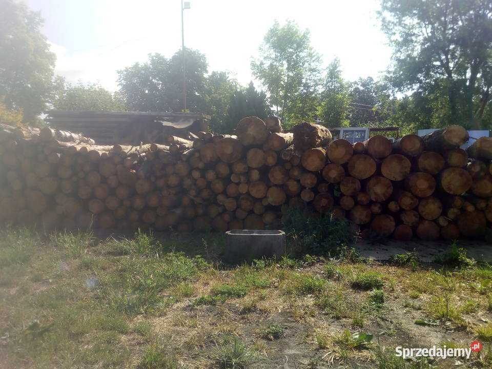 Drewno sosnowe Śrem