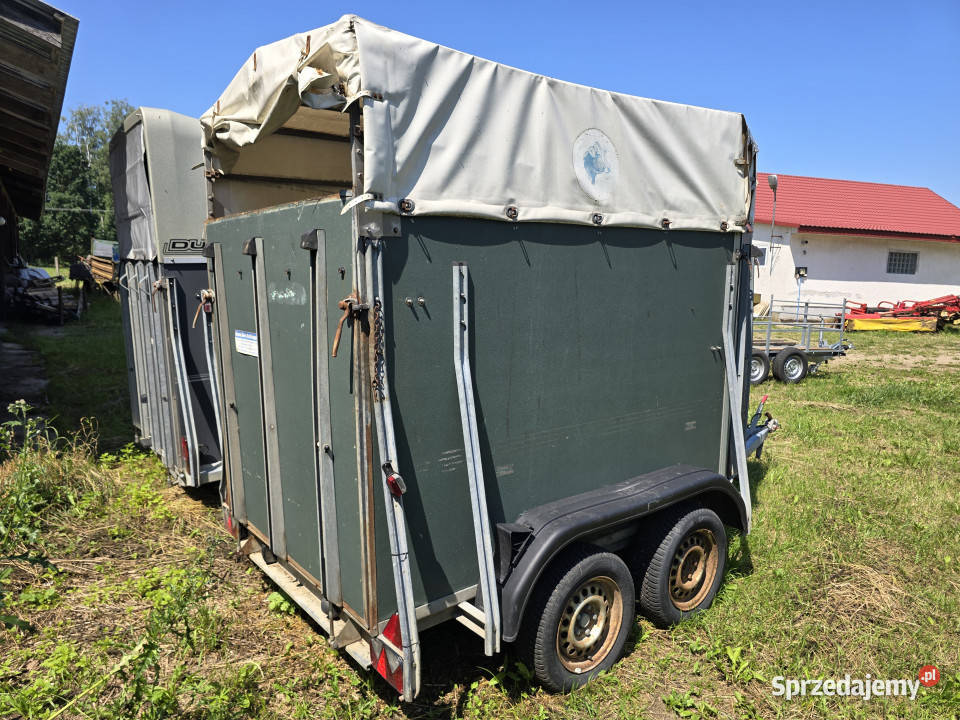 Przyczepa do przewozu koni HUMBAUR HP2000 DMC 2 Korpele