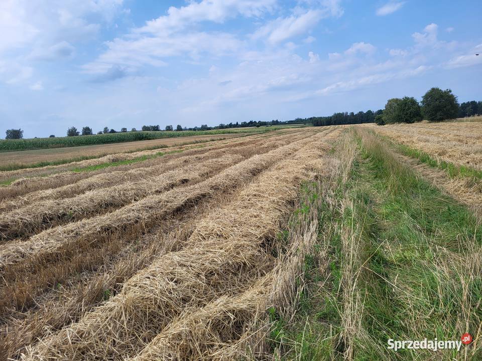 Słoma z pokosu