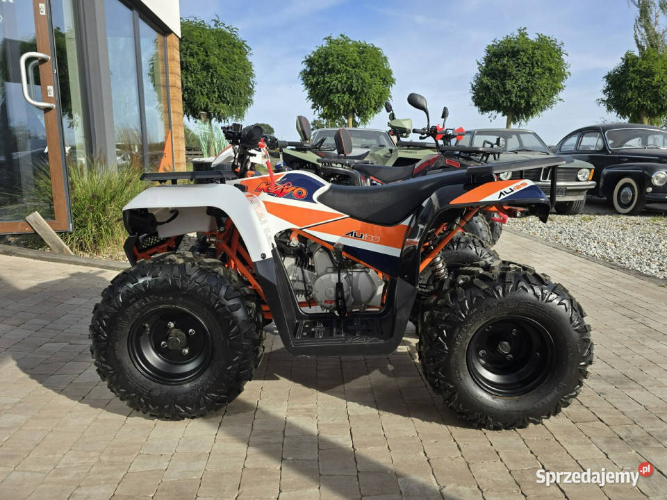 KAYO Inny SALON MOTOCYKLOWY MOTOEAGLES Kayo automatyczna Motoryzacja