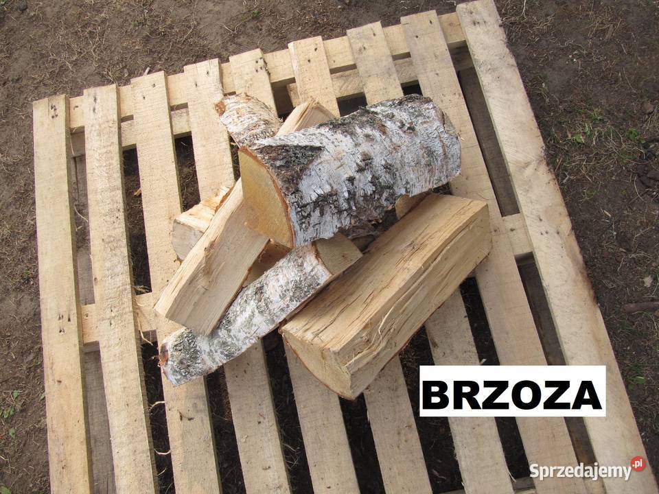 Drewno kominkowe olcha brzoza dąb buk grab Warszawa
