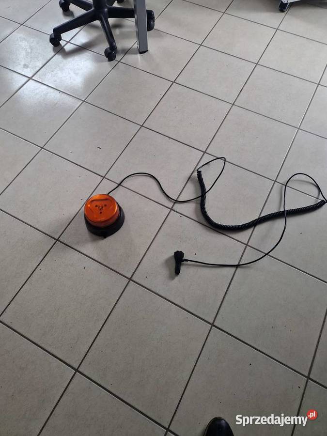 Kampa ostrzegawcza na dach kogut Waś zachodniopomorskie
