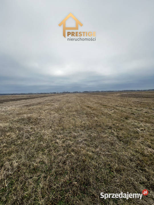 Na sprzedaż 56ar łąki w Kraśnicy gmGolina 5600m2